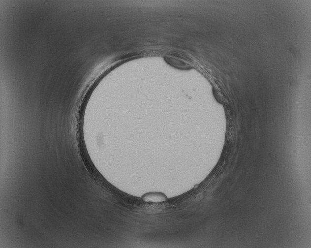 X0000116270103200912291341
