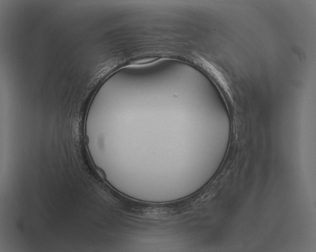X0000116270105200912291341