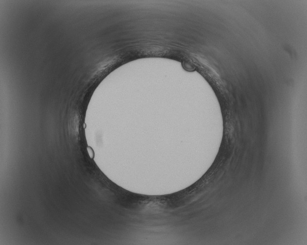 X0000116270115200912291341