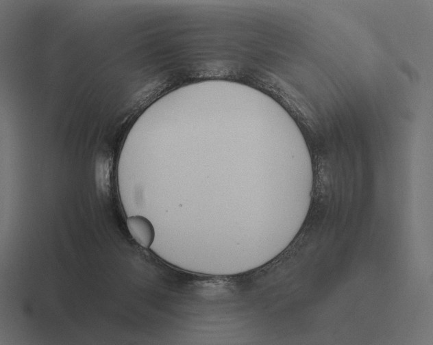 X0000116270118200912291341