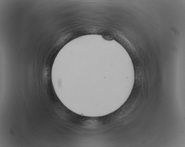 X0000116270119200912291341