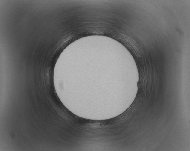 X0000116270120200912291341