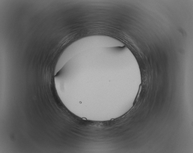 X0000116270124200912291341
