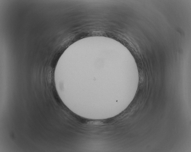 X0000116270133200912291341