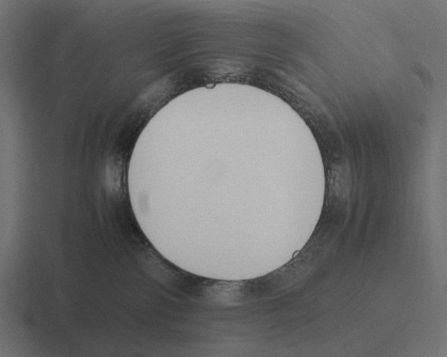 X0000116270138200912291341