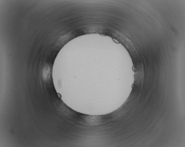 X0000116270142200912291341
