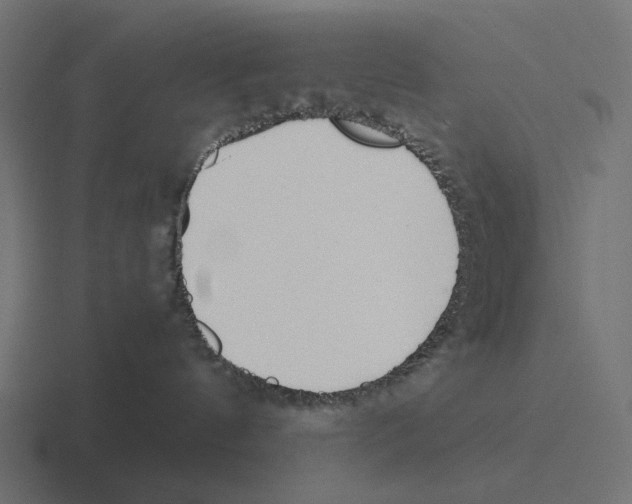 X0000116270144200912291341