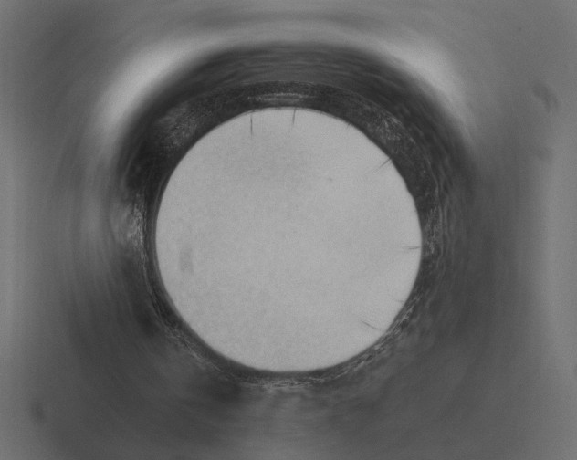 X0000116270146200912291340
