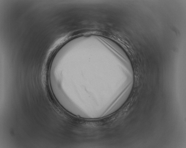 X0000116270149200912291340