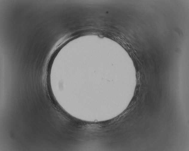 X0000116270150200912291340