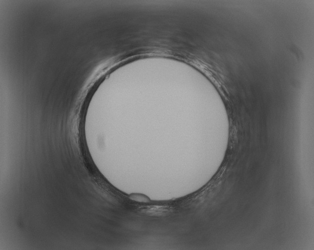 X0000116270151200912291340