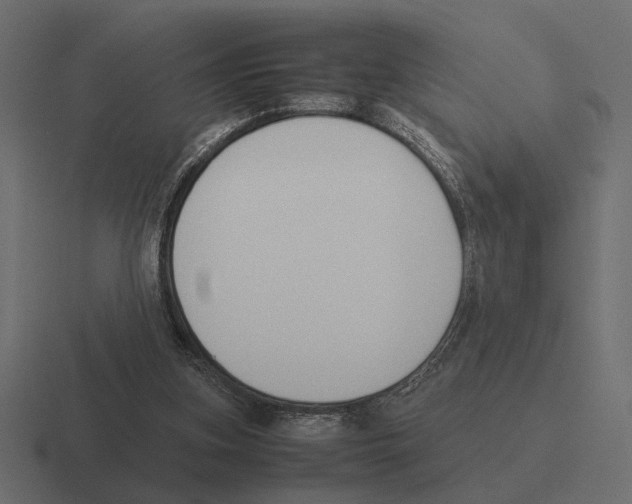 X0000116270155200912291340