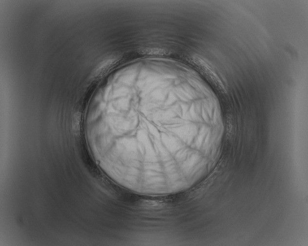 X0000116270167200912291340