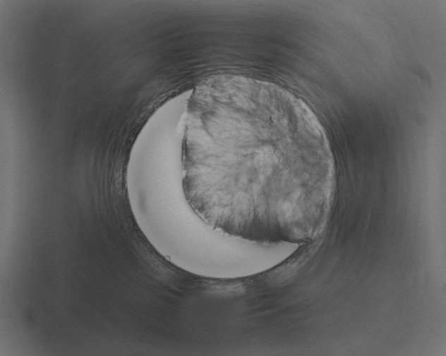 X0000116270185200912291340