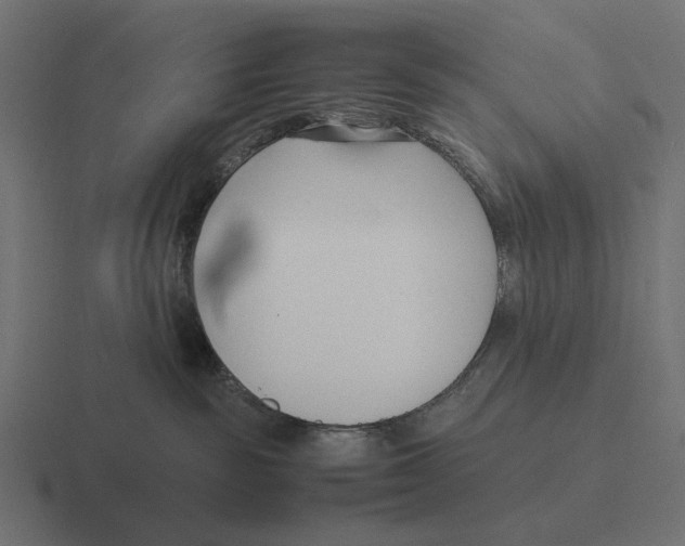 X0000116270189200912291340