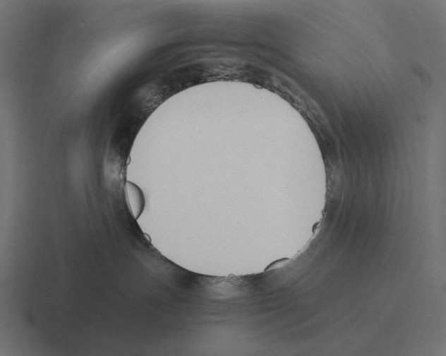 X0000116270191200912291341