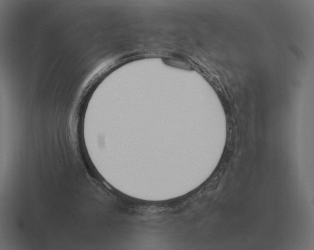 X0000116270197200912291340