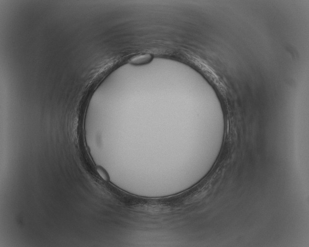 X0000116270201200912291340