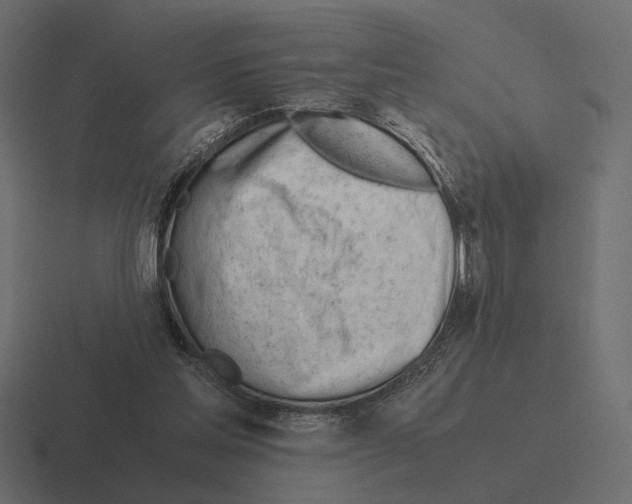 X0000116270205200912291340
