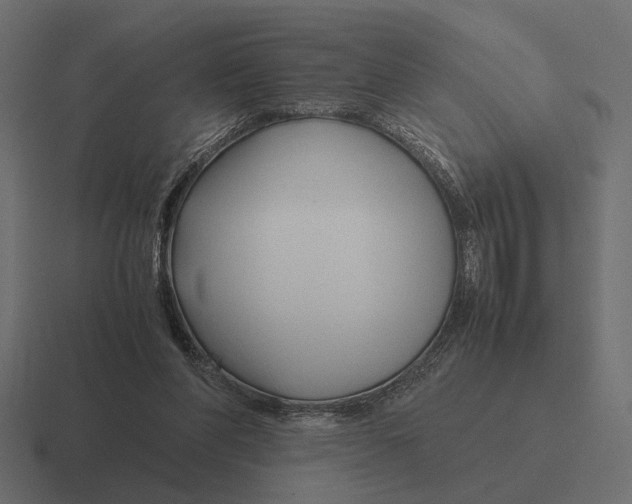 X0000116270206200912291340