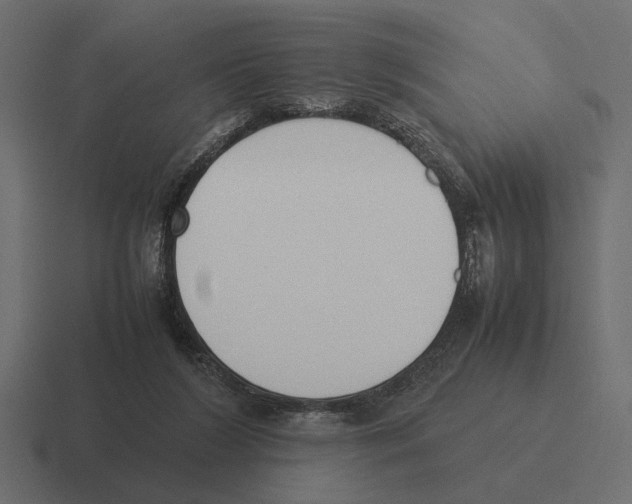 X0000116270212200912291340