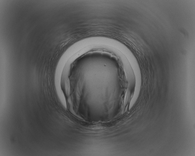 X0000116270219200912291340