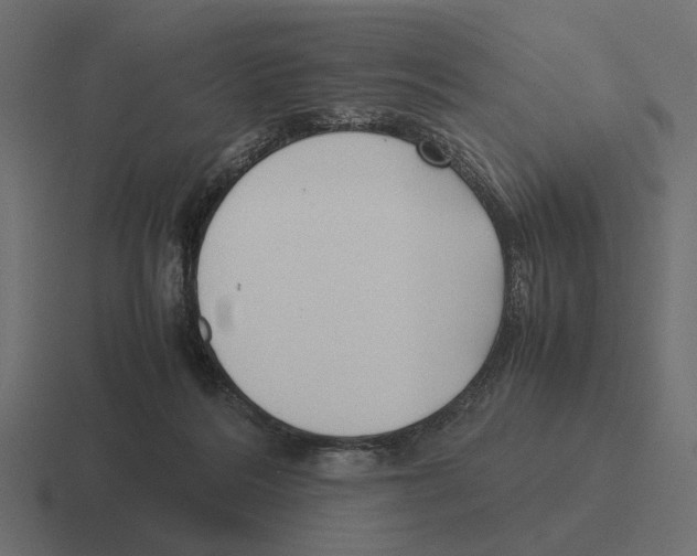 X0000116270220200912291340