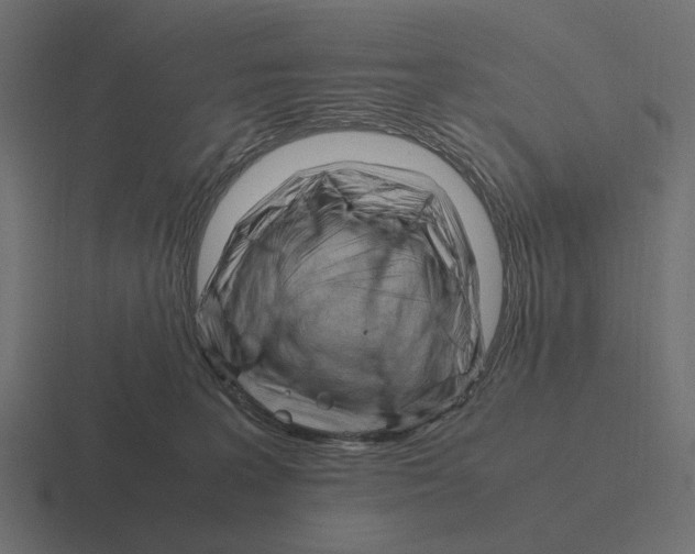 X0000116270227200912291339