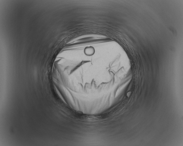 X0000116270229200912291339
