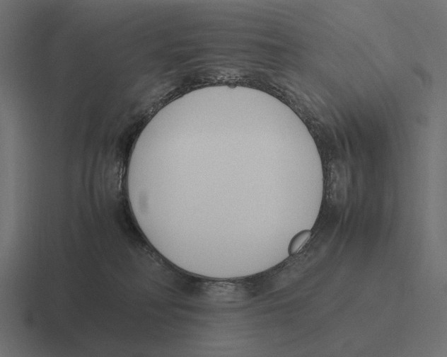 X0000116270230200912291339