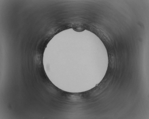 X0000116270232200912291339