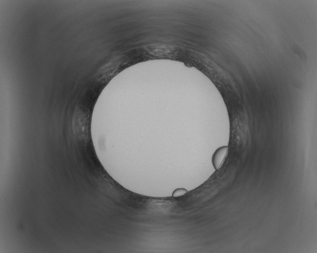 X0000116270234200912291339