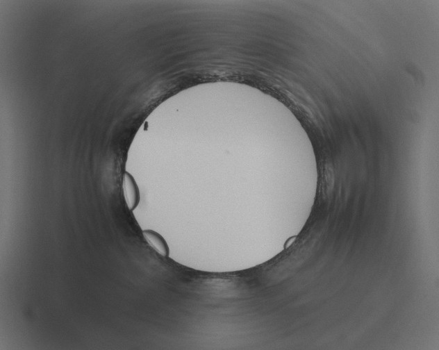 X0000116270236200912291339