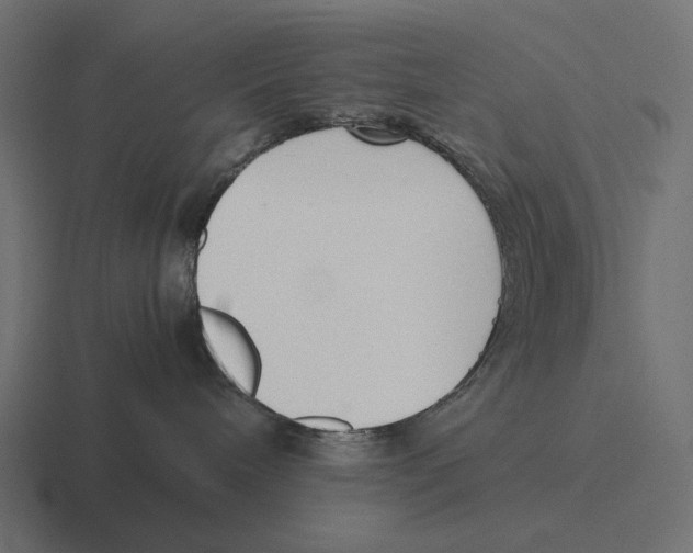 X0000116270240200912291339