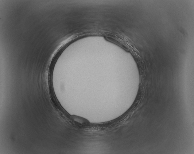 X0000116270244200912291339