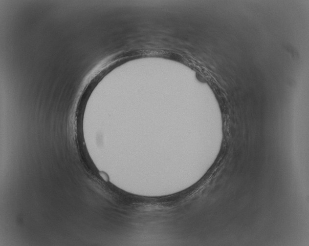 X0000116270246200912291339