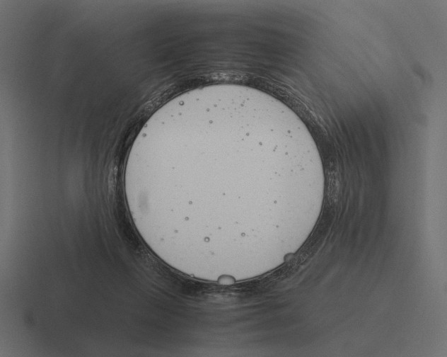 X0000116270263200912291339