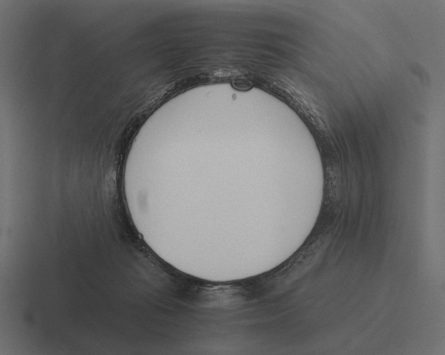 X0000116270269200912291339
