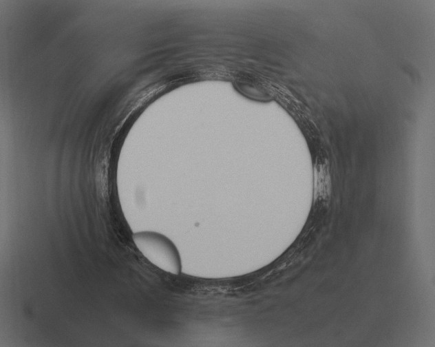 X0000116270291200912291339