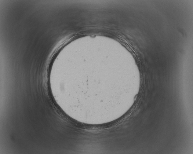 X0000116270293200912291339