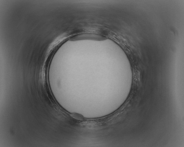 X0000116270294200912291339
