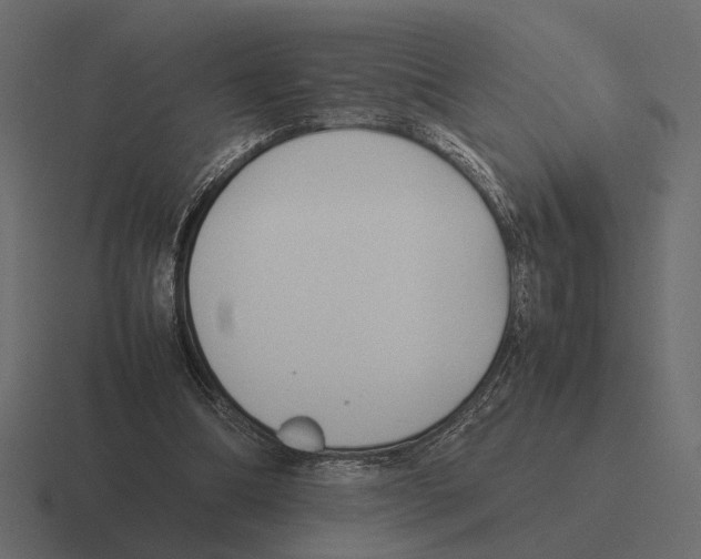 X0000116270298200912291339