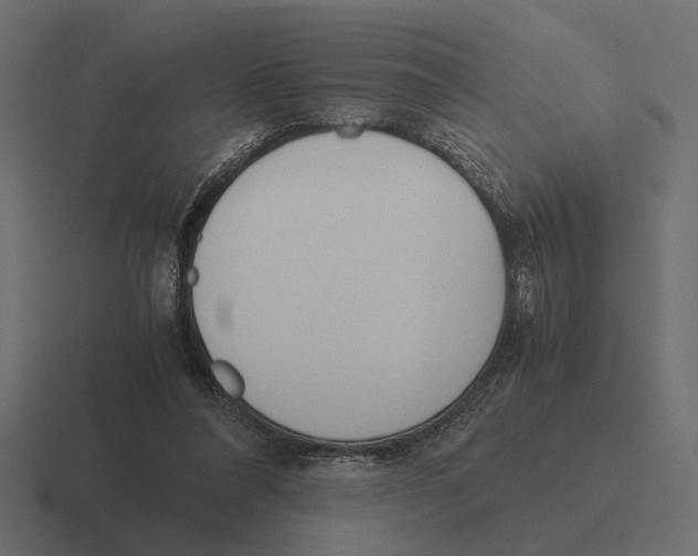 X0000116270304200912291339