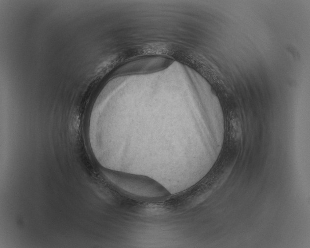 X0000116270308200912291338