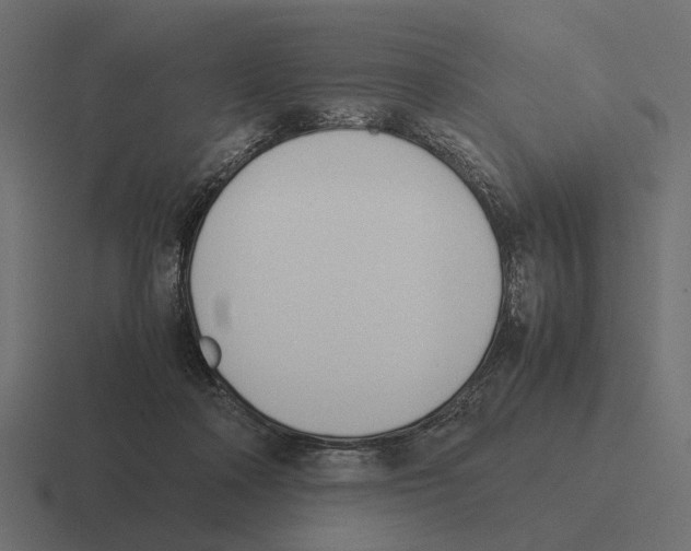 X0000116270314200912291338