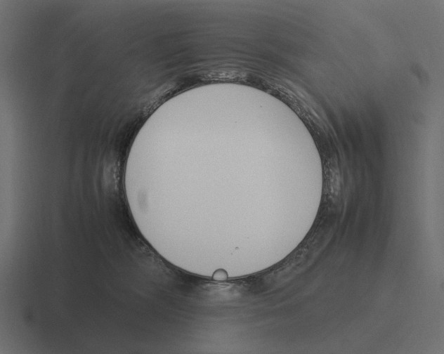 X0000116270326200912291338