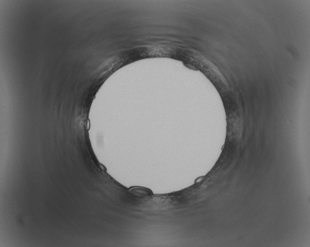 X0000116270329200912291338