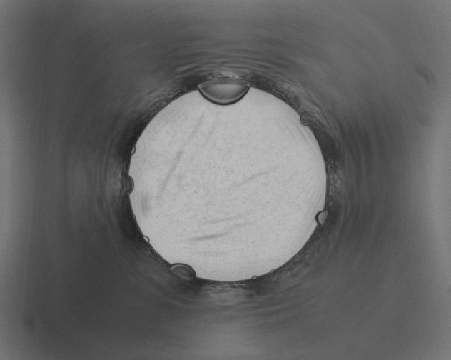 X0000116270331200912291338