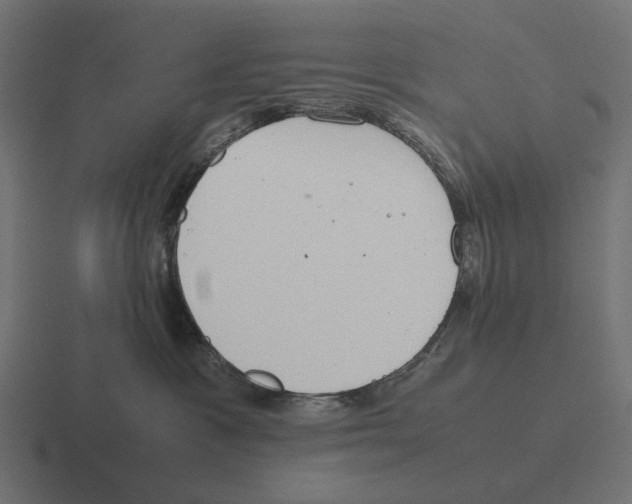 X0000116270333200912291338