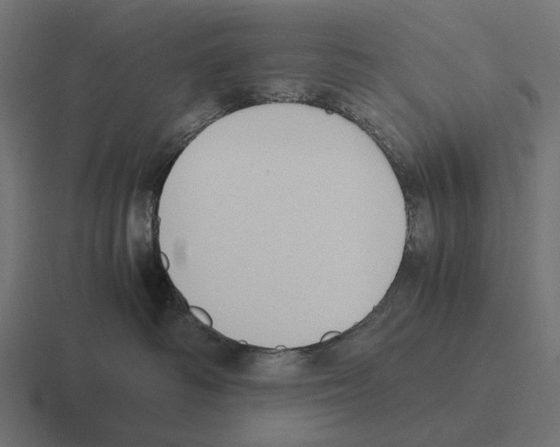 X0000116270334200912291338